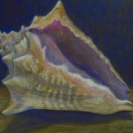 Conch