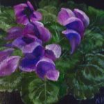 Cyclamens 6x6 $55