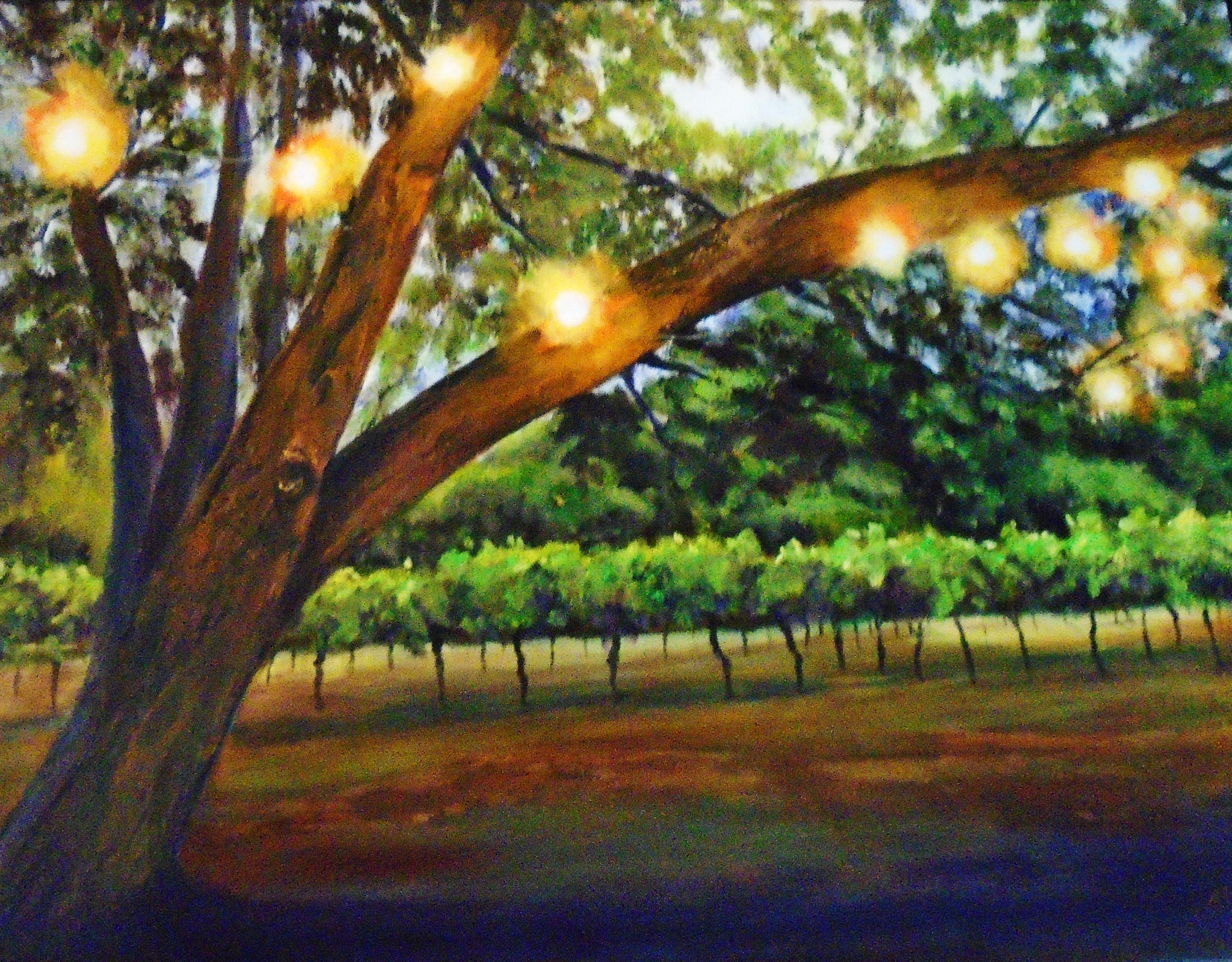 Dusk in the Vineyard 20x16 $650