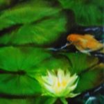 Koi Pond 5x7 $55