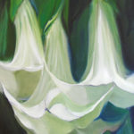 White Trumpets, 6x6, SOLD