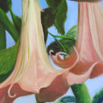 Trumpet Vine, 6x6, $55
