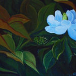 Sweet Magnolia 14x11 $375